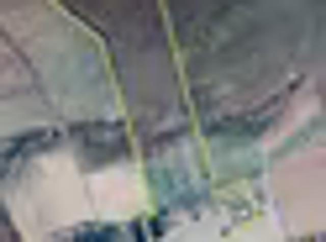 Farm for sale