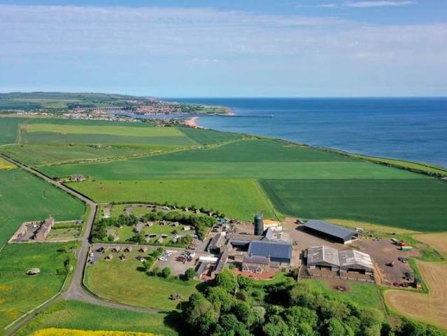 Farm for sale in Scremerston, Northumberland