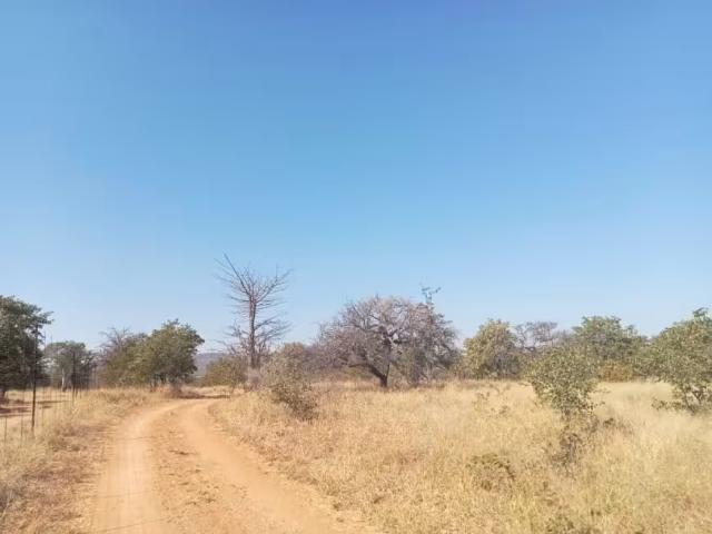 Farm for sale