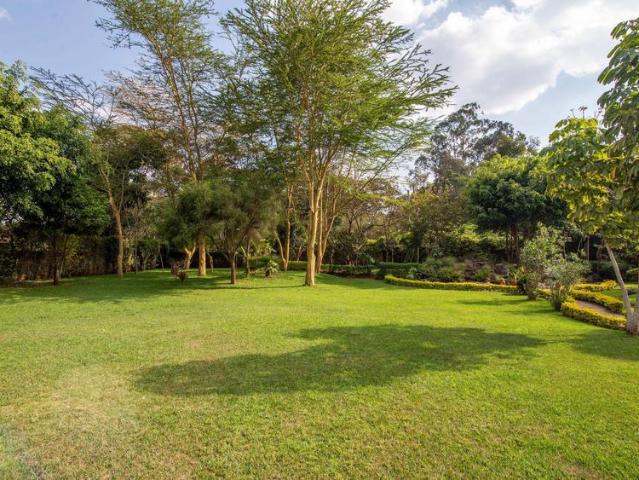 House for rent in Karen, Nairobi