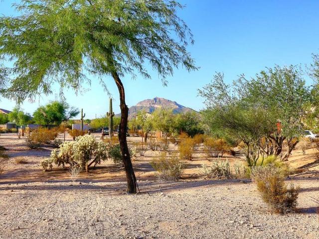 House for rent in Mesa, Arizona