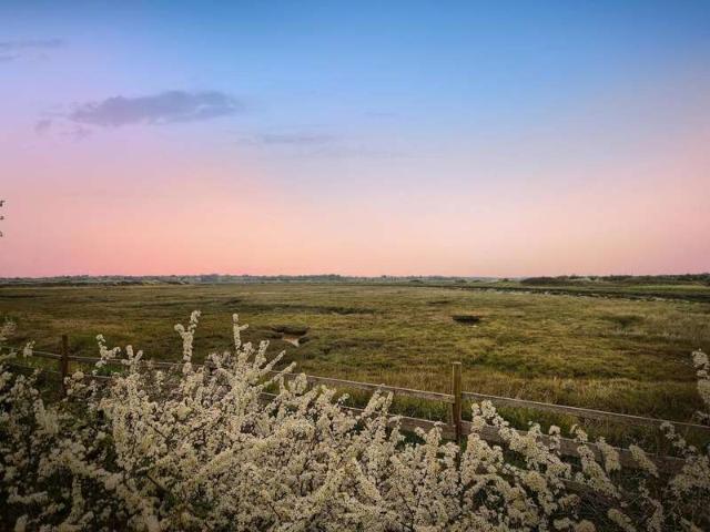 House for sale in Dale Hill, Essex