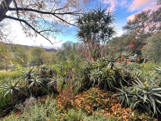 House for sale in Barrydale, Western Cape
