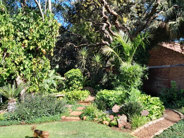 House for sale in Potgietersrus, Limpopo