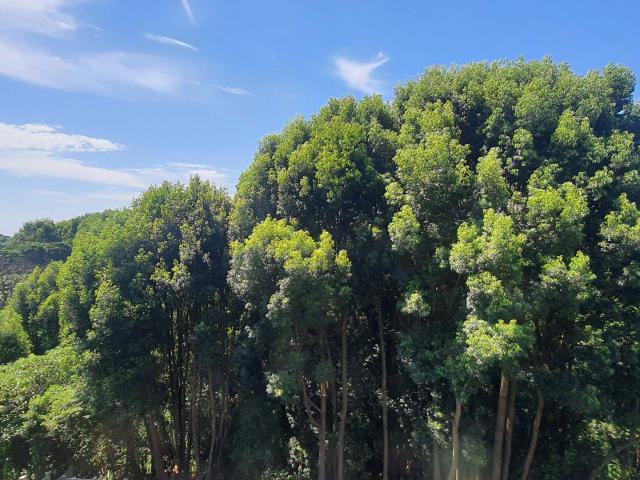 House for sale in Hillcrest, Kwazulu-natal