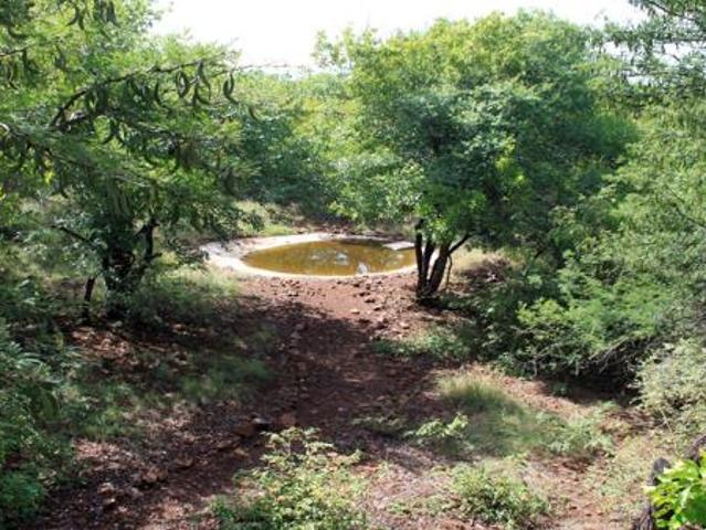 House for sale in Limpopo