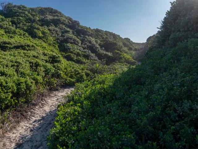 House for sale in Cape St Francis, Eastern Cape