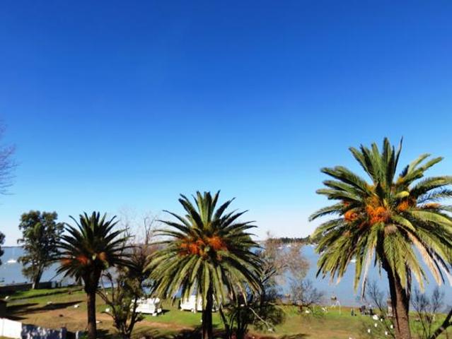 House for sale in Oranjeville, Free State