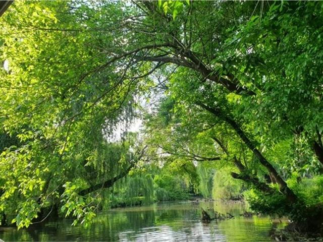 House for sale in Meyerton