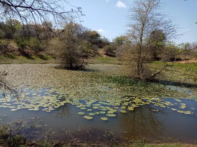 House for sale in Komatipoort, Nkomazi