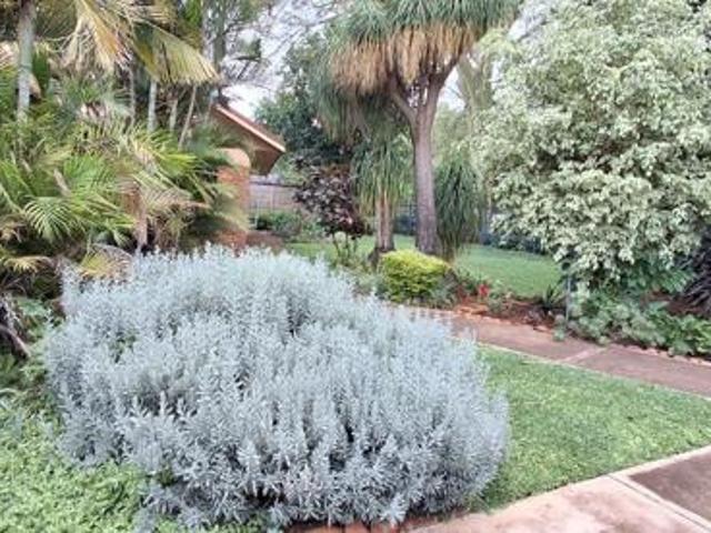House for sale in Naboomspruit, Limpopo