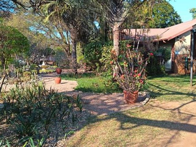 House for sale in Naboomspruit, Limpopo