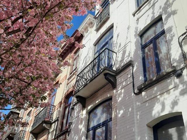 Maison location à Schaarbeek, Bruxelles
