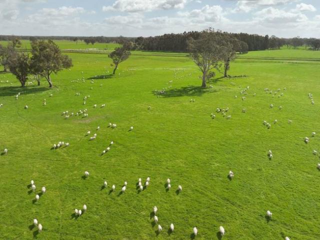 House for rent in Comaum, South Australia