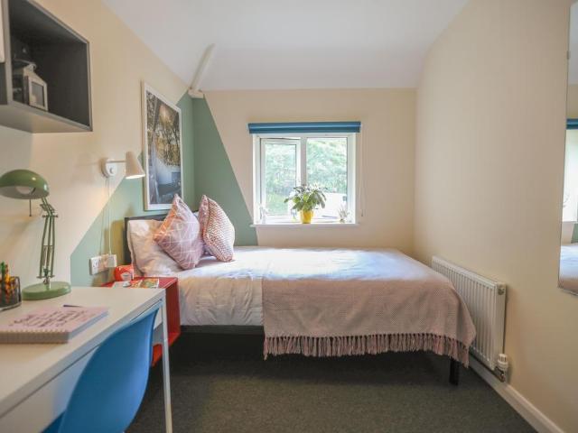 Room for rent in Bevendean, Brighton & Hove