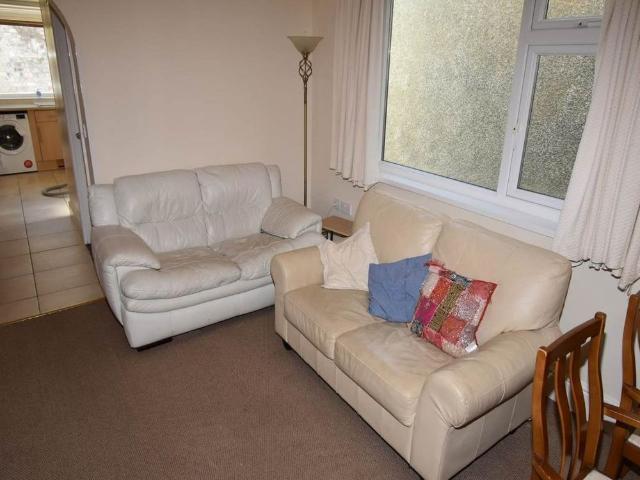 House for rent in Brynmill, Swansea