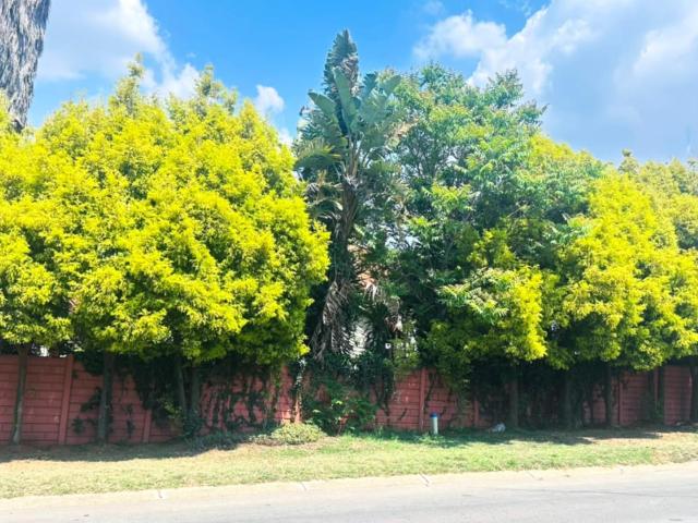 House for rent in Aston Manor, Kempton Park