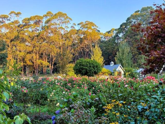 House for sale in North Blackwood, Trentham