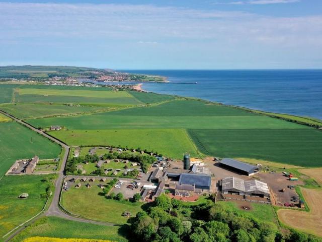 Land for sale in Scremerston, Northumberland