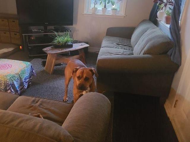Room for rent in York, Ontario