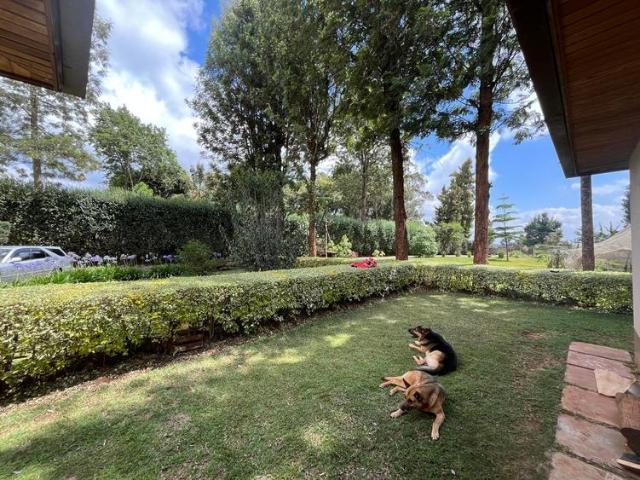 House for rent in Karen, Kiambu