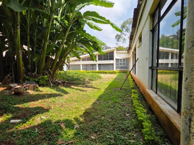 Commercial for rent in Lavington, Kiambu