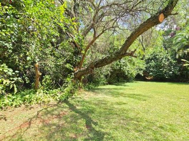 House for rent in Kyuna, Westlands