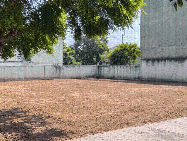 House for rent in Gautam Buddha Nagar, Uttar Pradesh