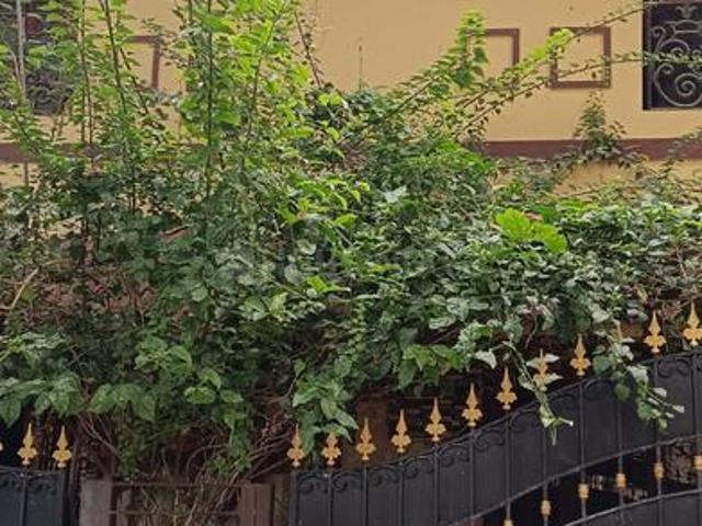 Villa for rent in Kilkattalai, Tamil Nadu
