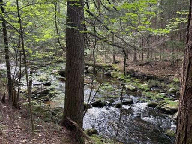 Land for sale in West Paris, Maine