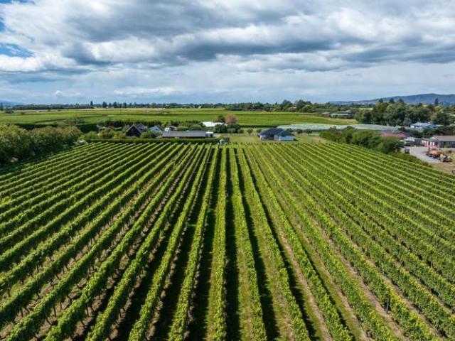 Property for sale in Renwick, Marlborough