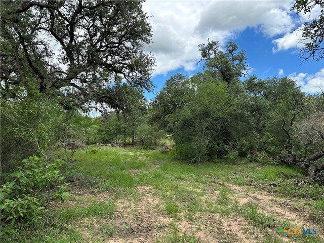 Farm for sale in Dewitt, Texas