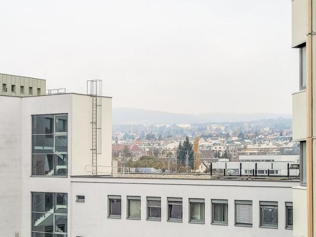 Wohnung kaufen in Seestadt, Wien