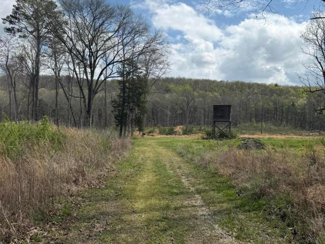 Farm for sale in Calico, Decatur