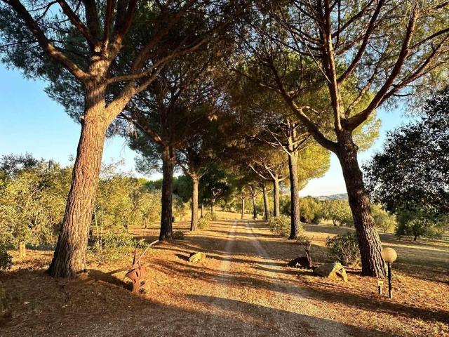 Casa in vendita a Maiano Lavacchio, Magliano In Toscana