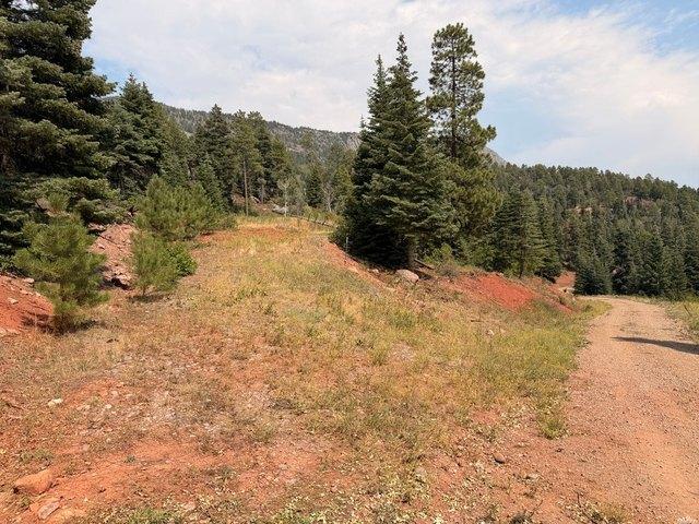 Land for sale in Chama, New Mexico