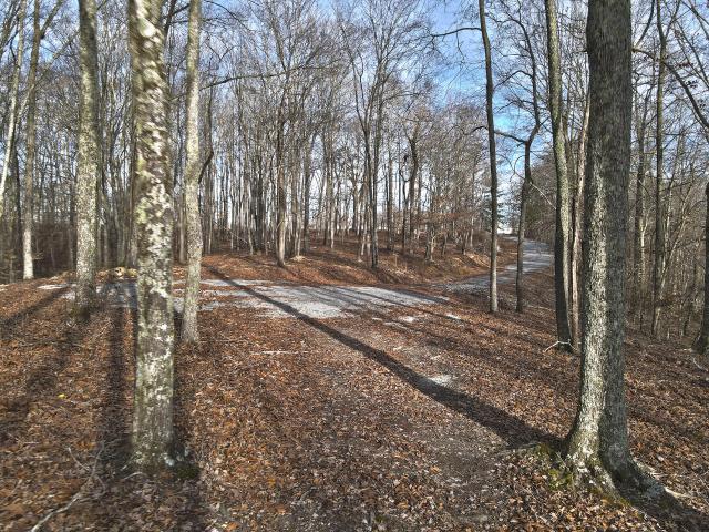 Land for sale in Russell Springs, Kentucky