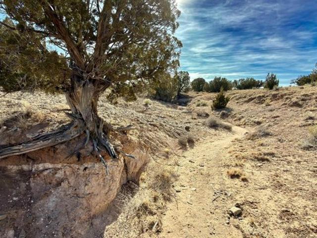 Land for sale in Algodones, New Mexico