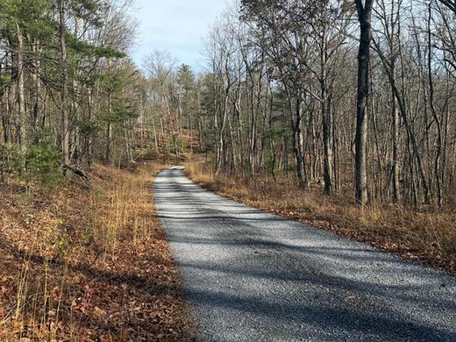 Land for sale in Capon Bridge, West Virginia