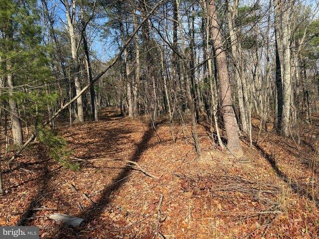 Land for sale in Capon Bridge, West Virginia