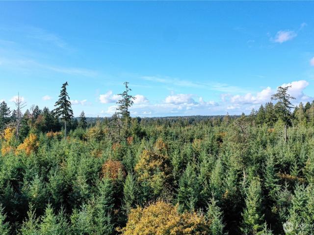 Land for sale in Lakebay