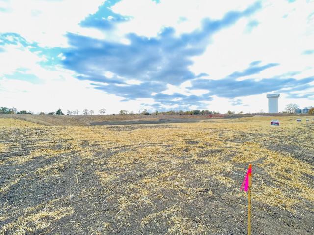 Land for sale in Windom, Minnesota