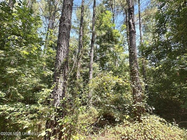 Land for sale in Enterprise, Mississippi
