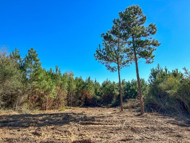 Land for sale in Texas