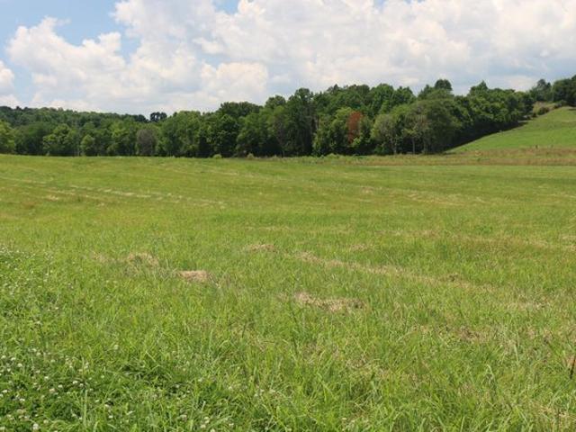 Land for sale in Tennessee
