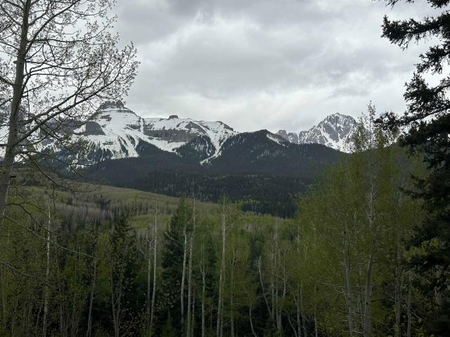 Land for sale in Ridgway, Colorado