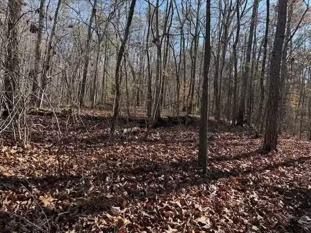 House for rent in Flat Rock, Alabama