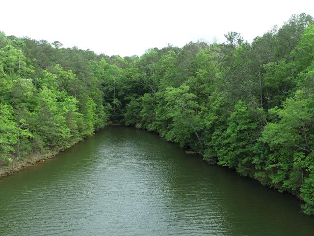 Land for sale in Wedowee, Alabama