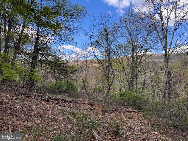Land for sale in Hardy, West Virginia