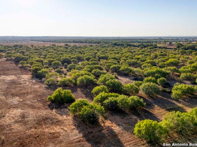 Land for sale in Jourdanton, Texas